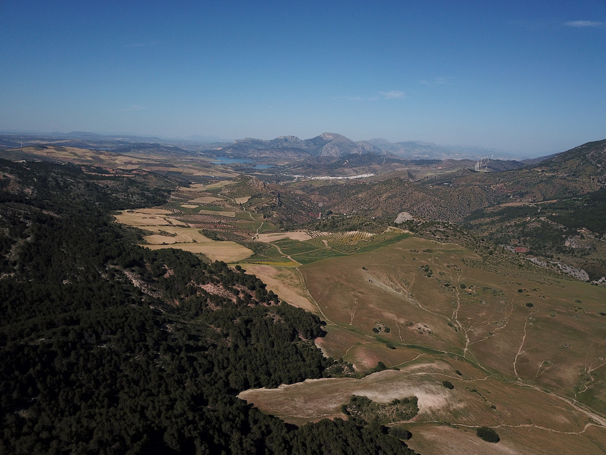 Se vende Finca - Cortijo de 30 dormitorios en Costa Del Sol, Málaga, España
