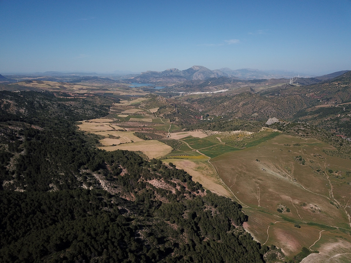 Se vende Finca - Cortijo de 30 dormitorios en Costa Del Sol, Málaga, España