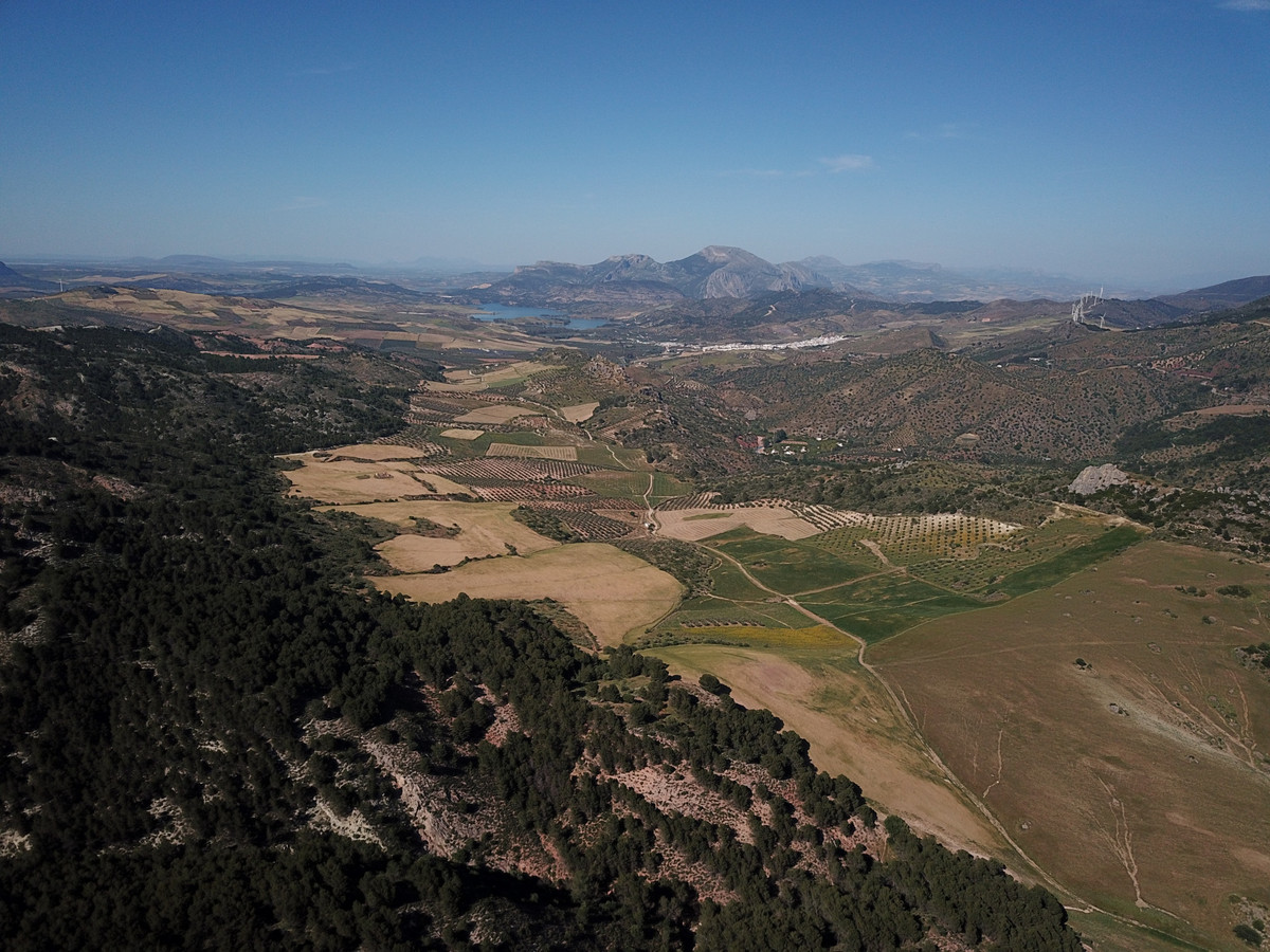 Se vende Finca - Cortijo de 30 dormitorios en Costa Del Sol, Málaga, España