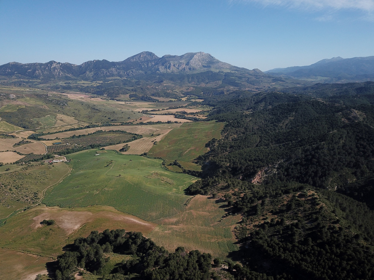 Se vende Finca - Cortijo de 30 dormitorios en Costa Del Sol, Málaga, España