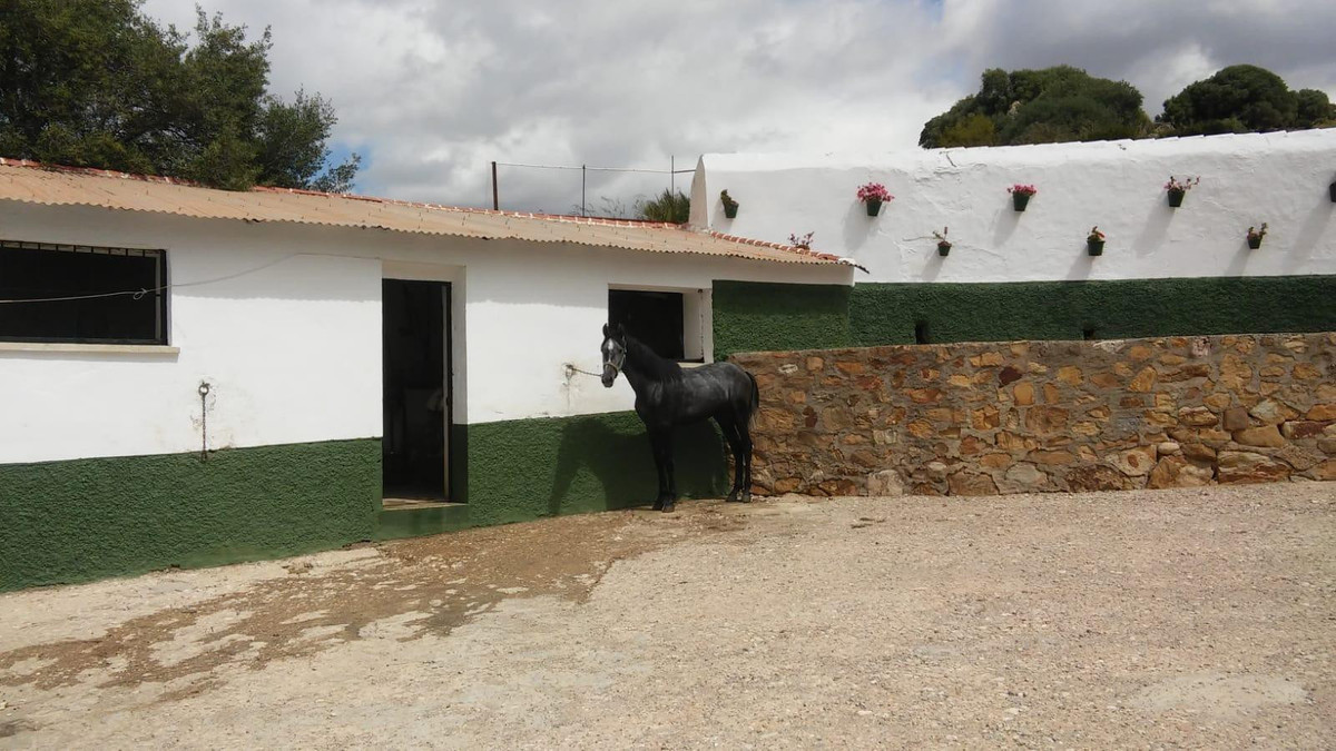 Se vende Finca - Cortijo de 30 dormitorios en Costa Del Sol, Málaga, España