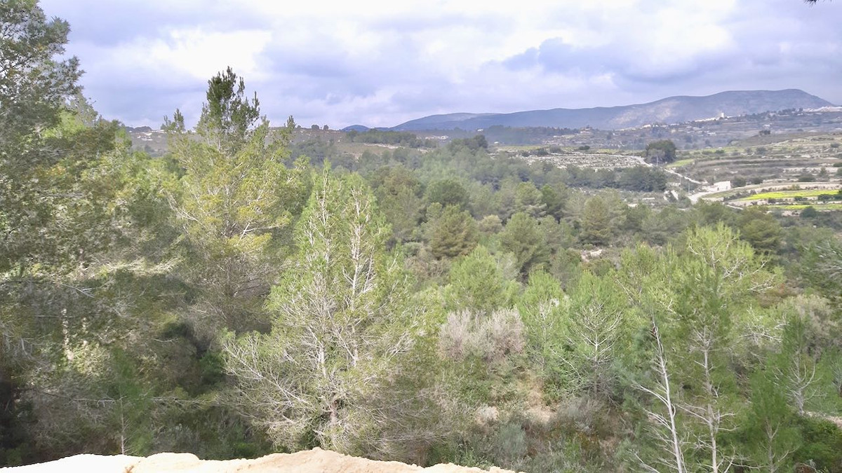 Se vende Terreno Rustico  en Costa Blanca, Alicante, España