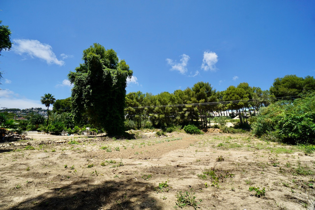 Se vende Terreno Rustico  en Costa Blanca, Alicante, España