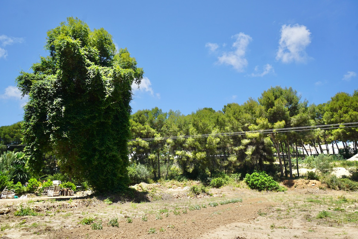 Se vende Terreno Rustico  en Costa Blanca, Alicante, España