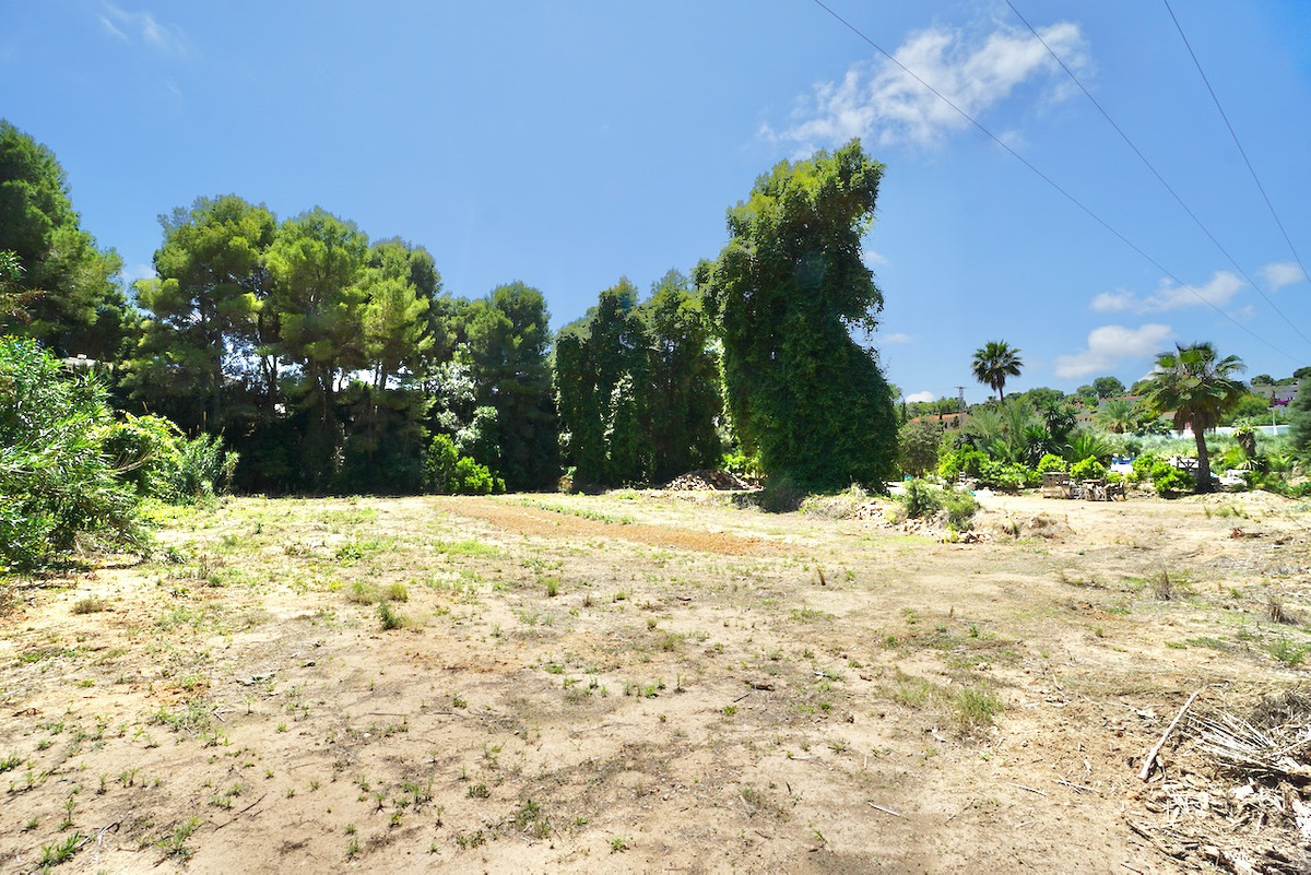 Se vende Terreno Rustico  en Costa Blanca, Alicante, España