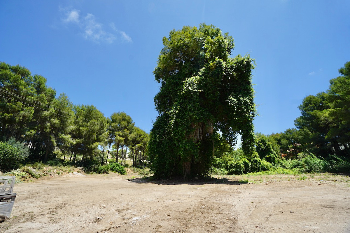 Se vende Terreno Rustico  en Costa Blanca, Alicante, España
