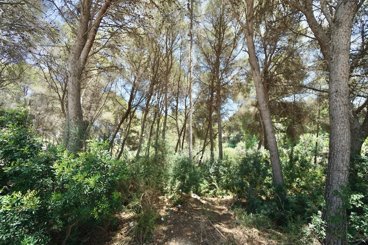 Se vende Terreno Rustico  en Costa Blanca, Alicante, España