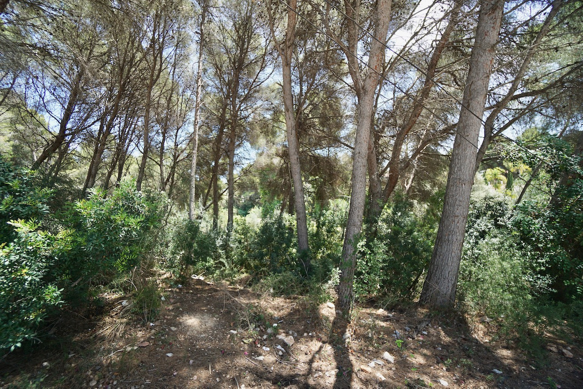 Se vende Terreno Rustico  en Costa Blanca, Alicante, España