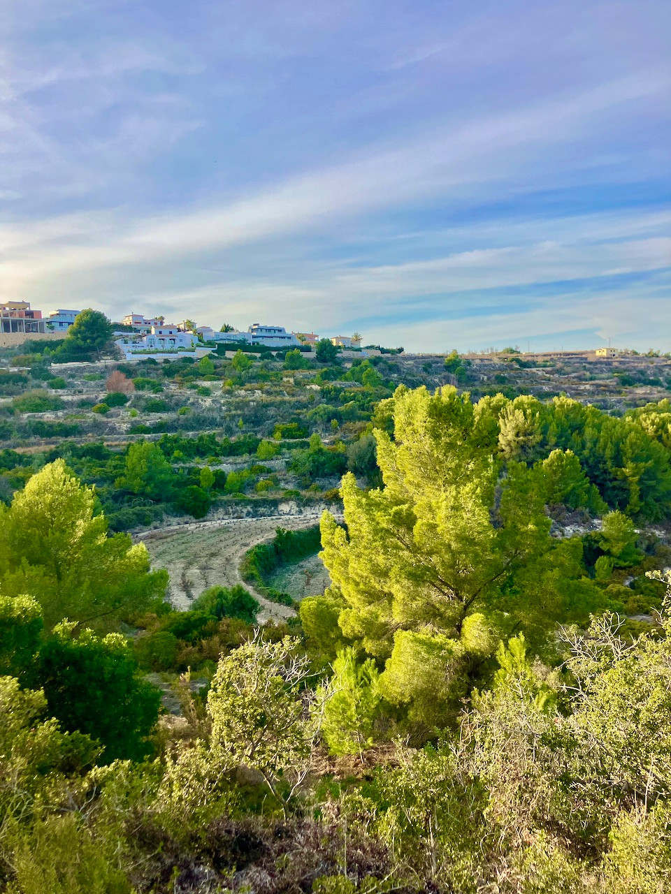 Se vende Terreno Rustico  en Costa Blanca, Alicante, España