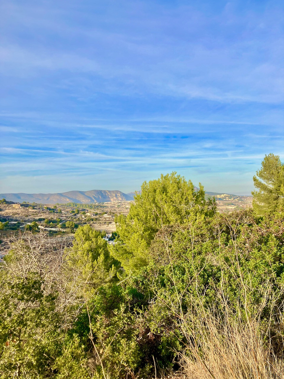 Se vende Terreno Rustico  en Costa Blanca, Alicante, España