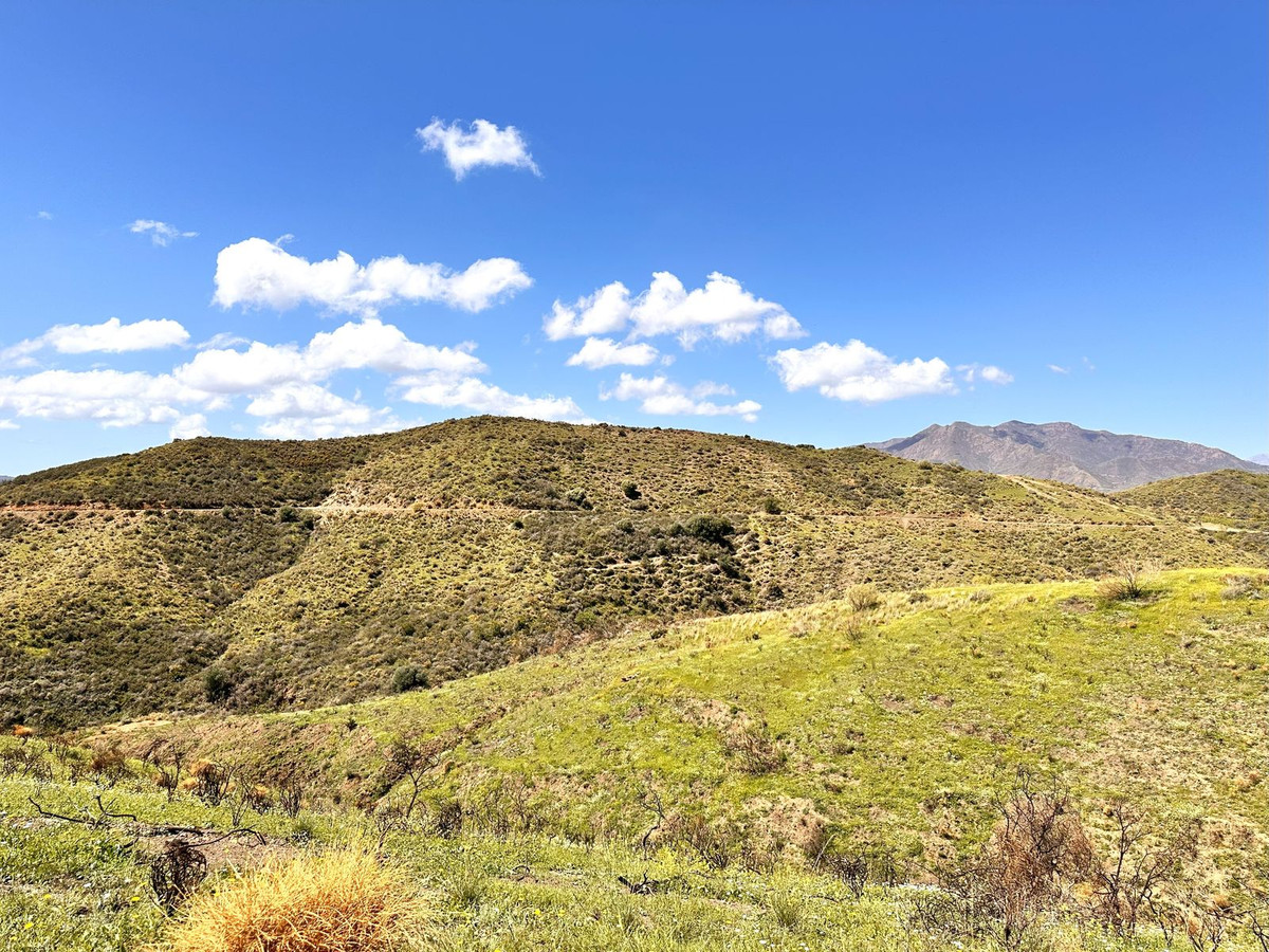 Se vende Terreno Rustico  en Costa Del Sol, Málaga, España