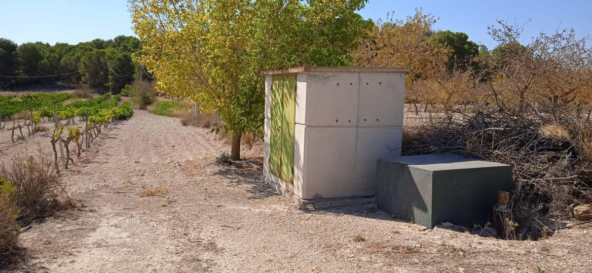 Plots for sale in Pinoso Costa Blanca, Alicante, Spain