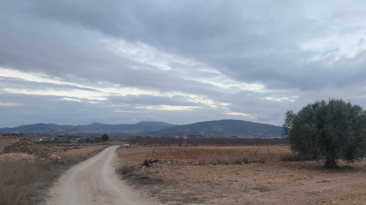 Se vende Terreno Rustico  en Costa Blanca, Alicante, España