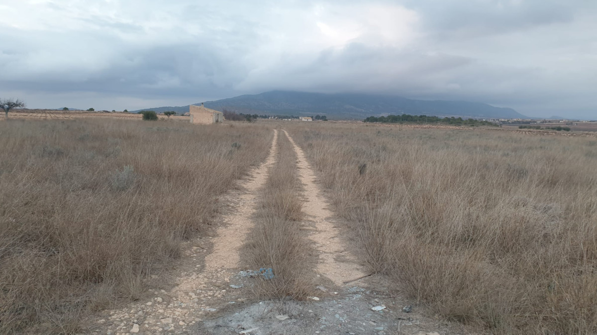 Se vende Terreno Rustico  en Costa Blanca, Alicante, España