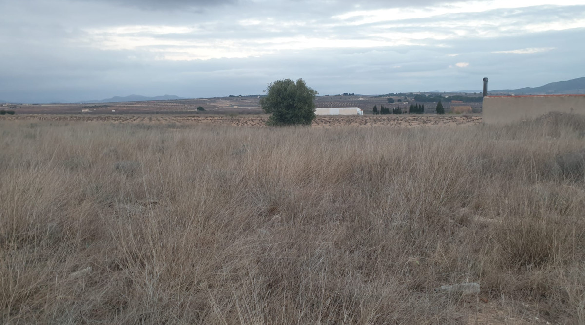Se vende Terreno Rustico  en Costa Blanca, Alicante, España