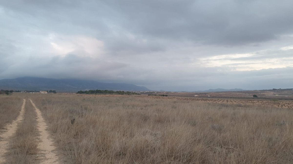 Se vende Terreno Rustico  en Costa Blanca, Alicante, España