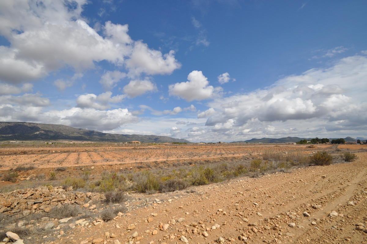 Plots for sale in Pinoso Costa Blanca, Alicante, Spain