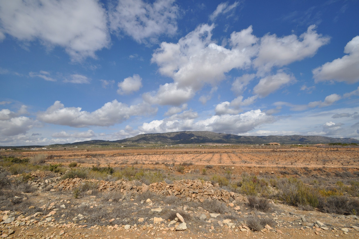 Plots for sale in Pinoso Costa Blanca, Alicante, Spain