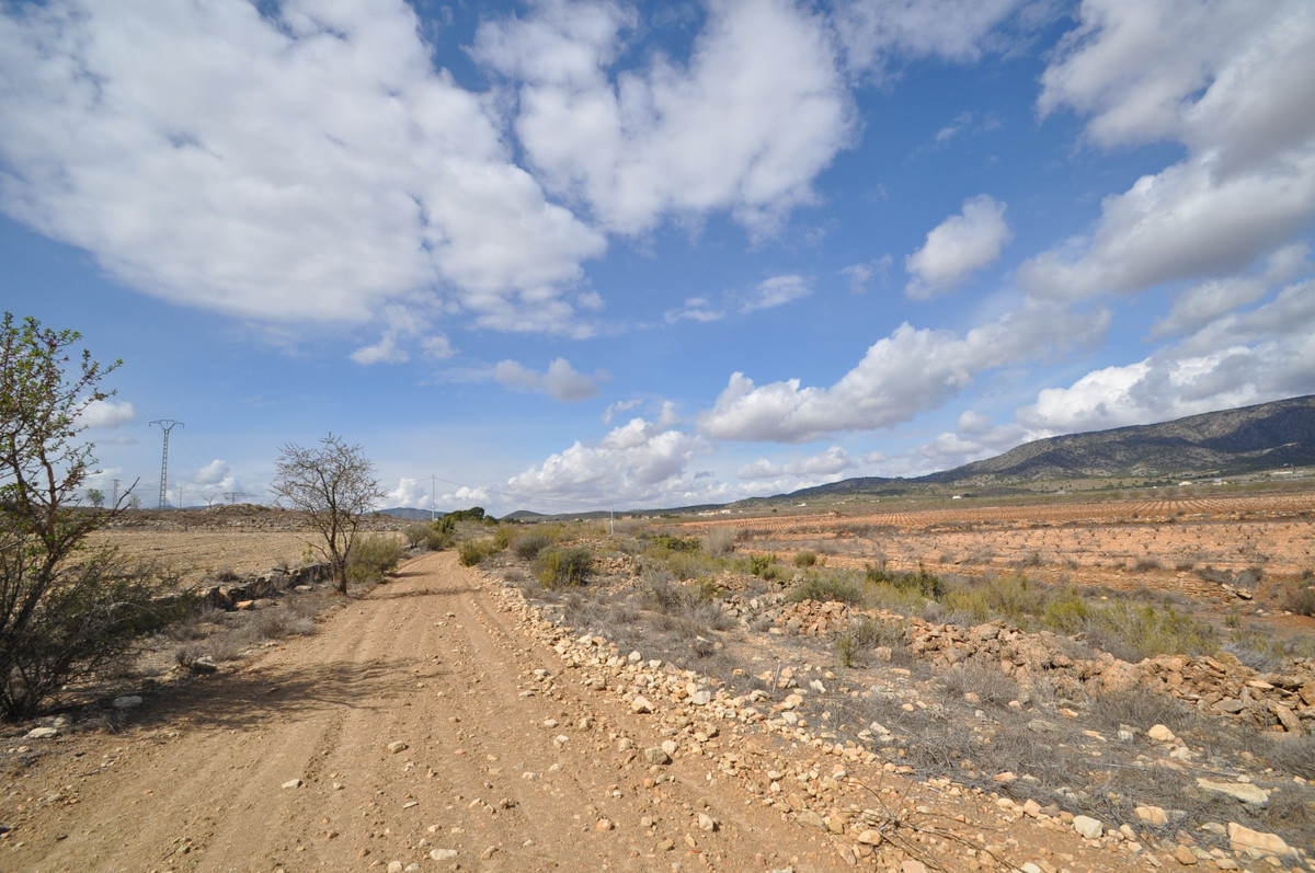 Plots for sale in Pinoso Costa Blanca, Alicante, Spain