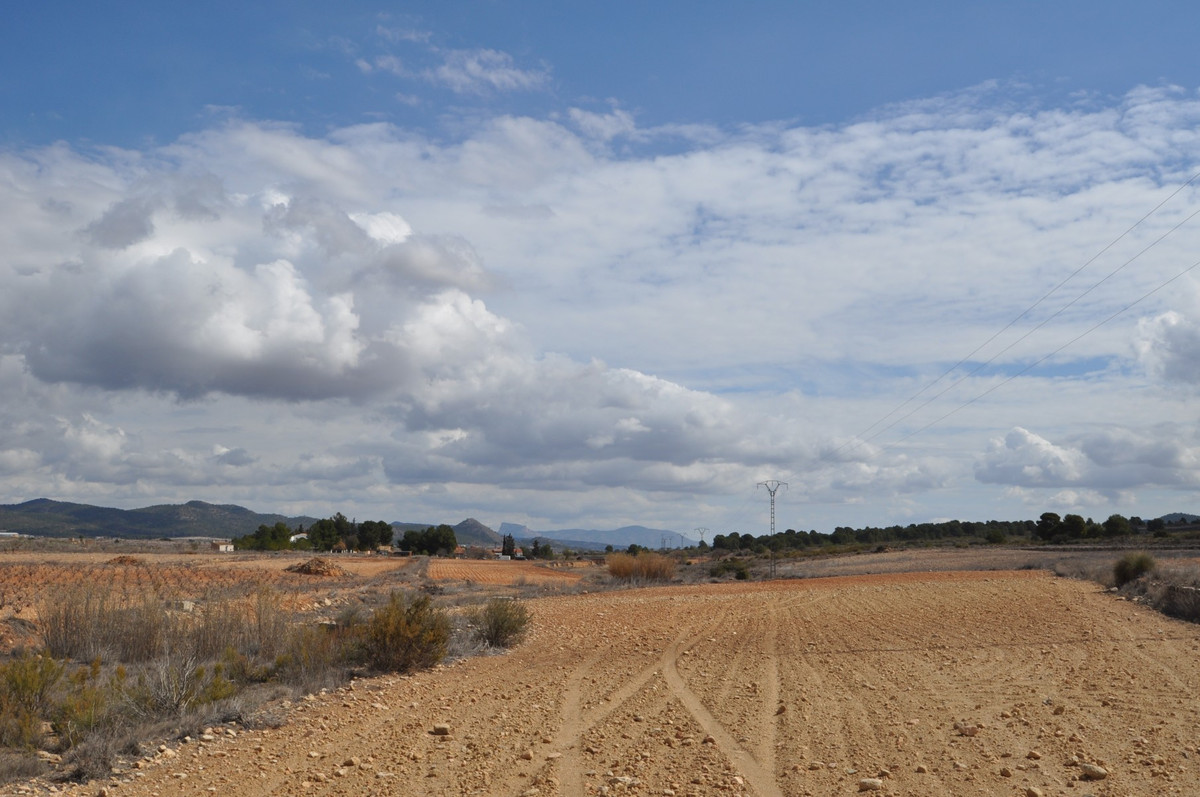 Plots for sale in Pinoso Costa Blanca, Alicante, Spain