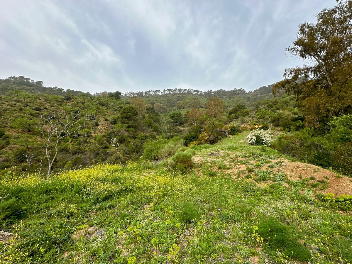 Se vende Finca - Cortijo de 8 dormitorios en Málaga Ciudad, Málaga, España