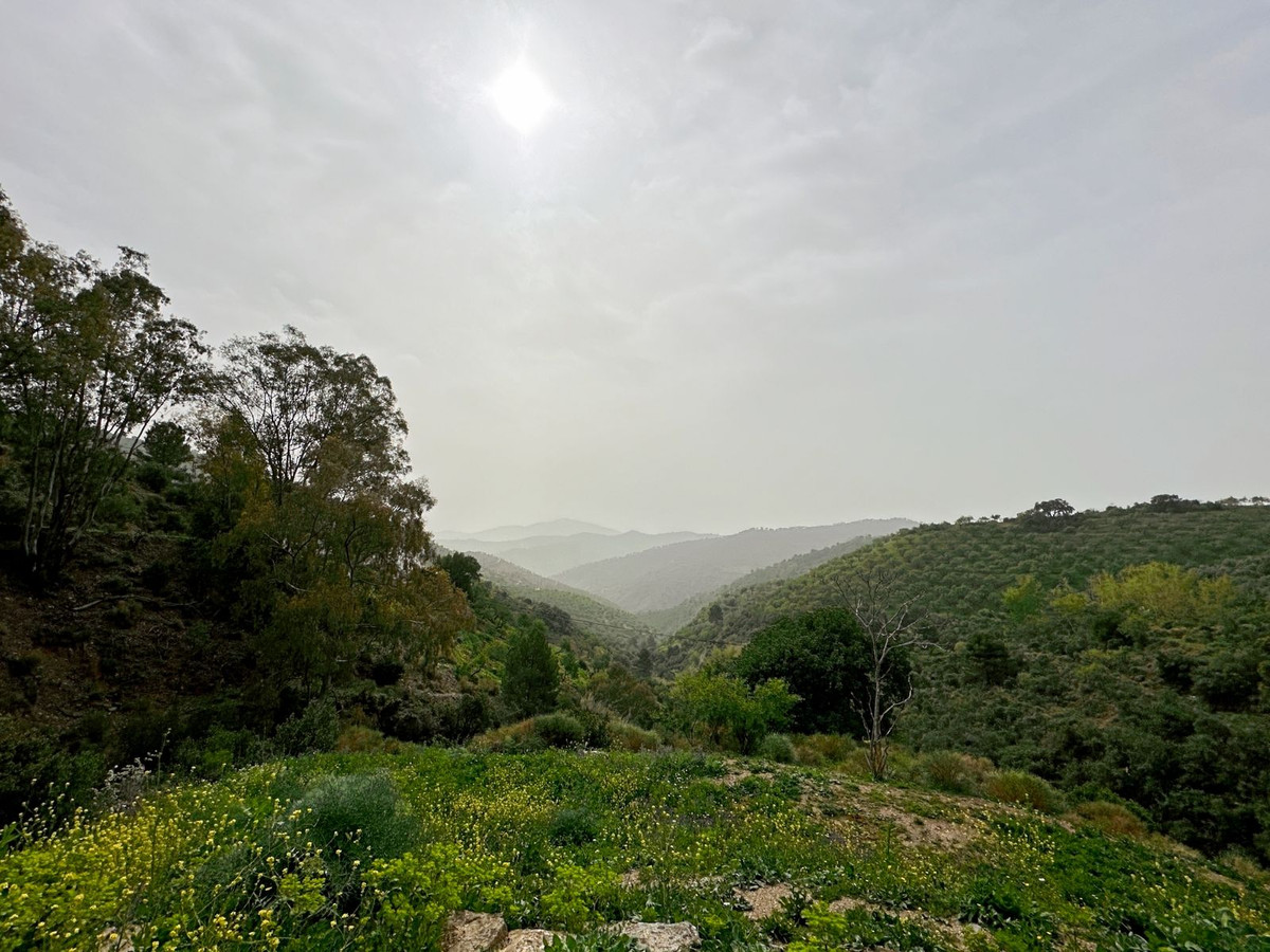 Se vende Finca - Cortijo de 8 dormitorios en Málaga Ciudad, Málaga, España