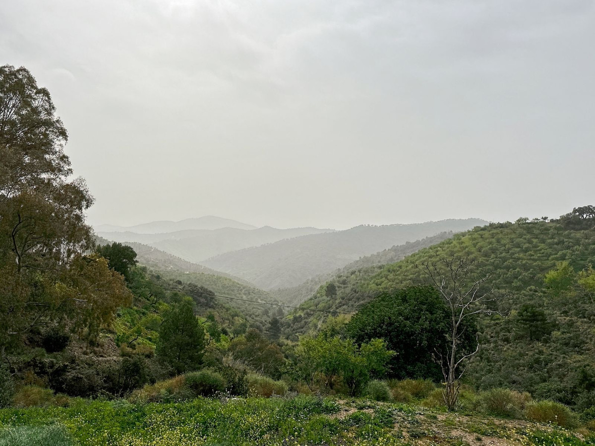 Se vende Finca - Cortijo de 8 dormitorios en Málaga Ciudad, Málaga, España