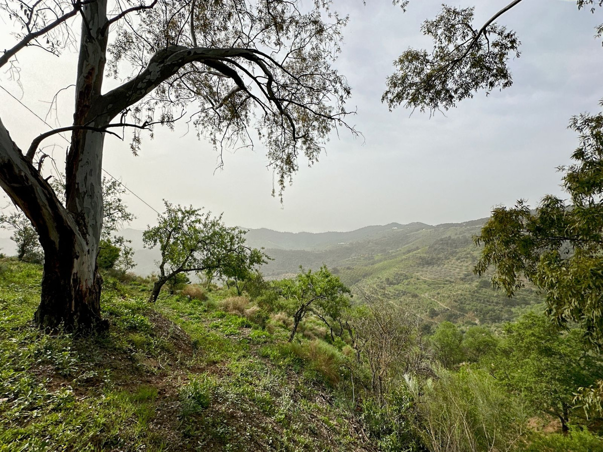 Se vende Finca - Cortijo de 8 dormitorios en Málaga Ciudad, Málaga, España