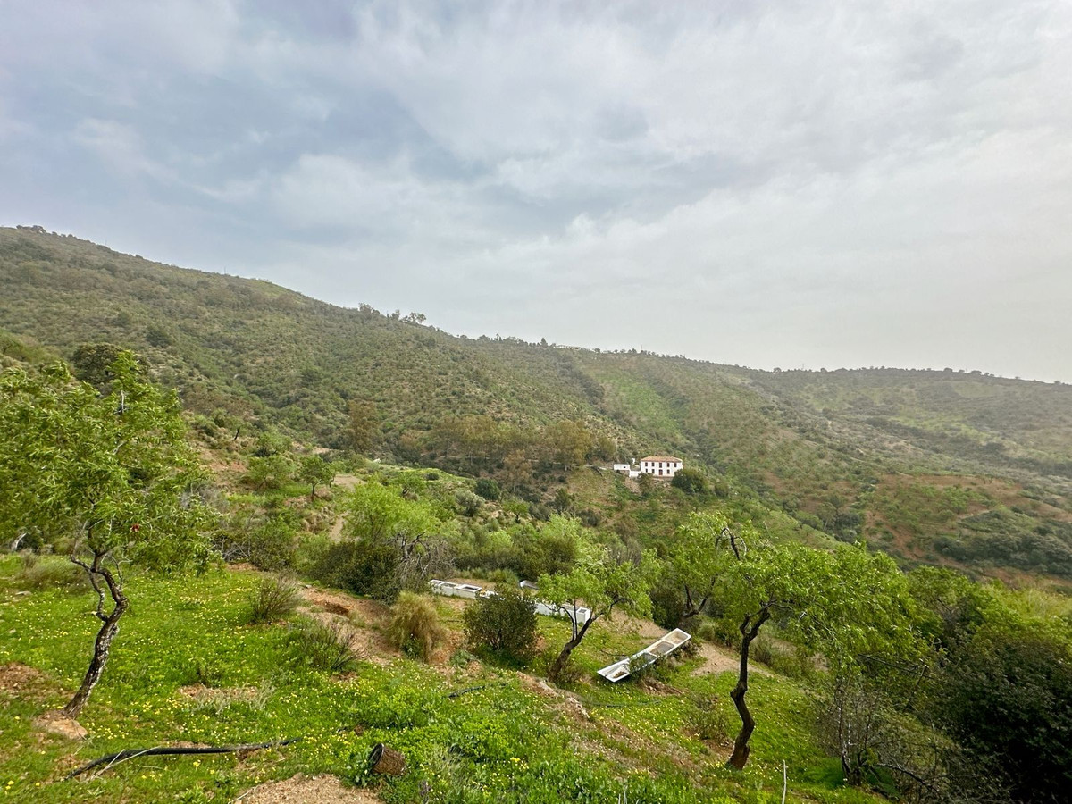 Se vende Finca - Cortijo de 8 dormitorios en Málaga Ciudad, Málaga, España