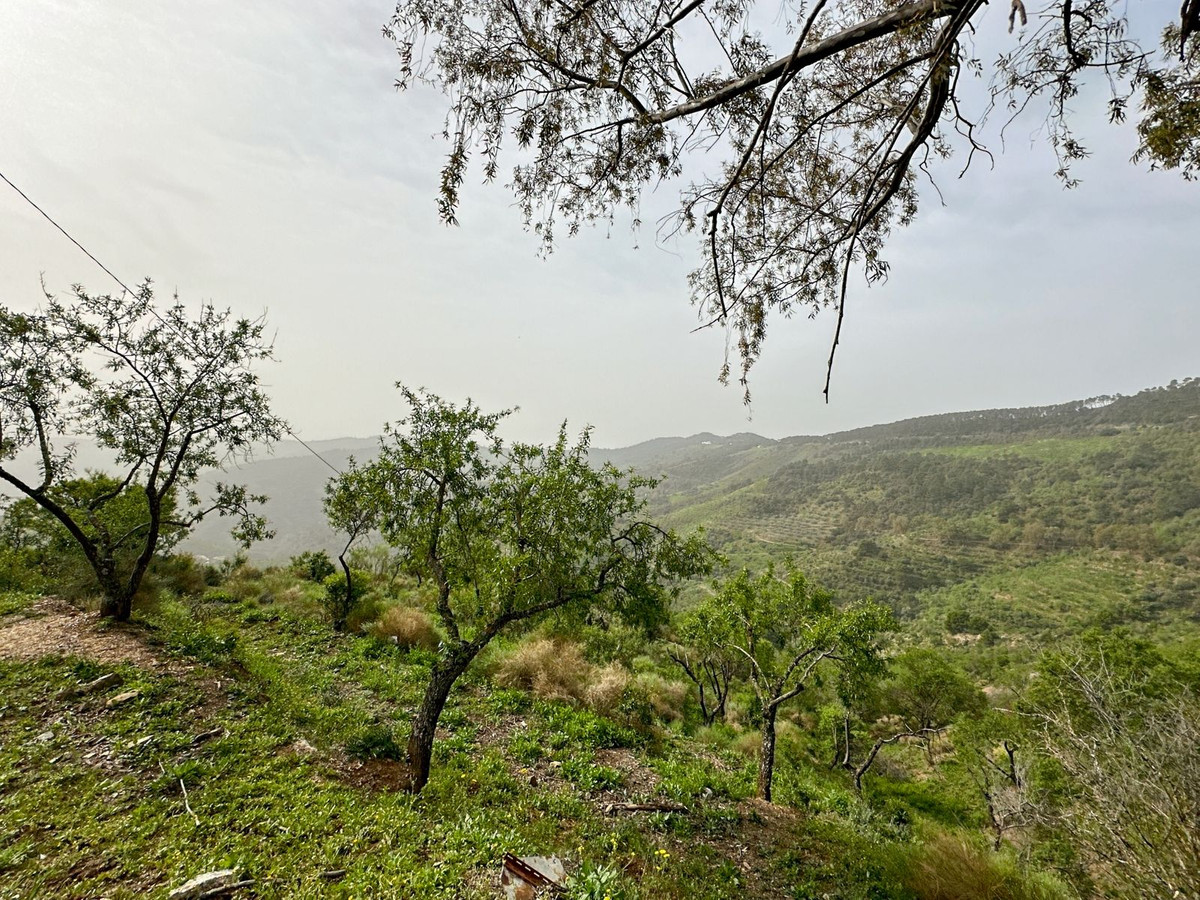 Se vende Finca - Cortijo de 8 dormitorios en Málaga Ciudad, Málaga, España