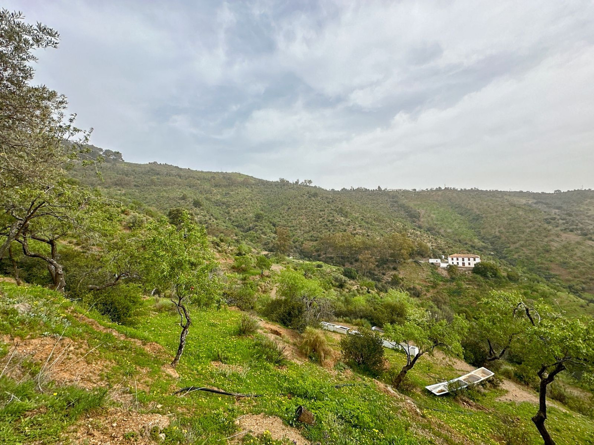 Se vende Finca - Cortijo de 8 dormitorios en Málaga Ciudad, Málaga, España