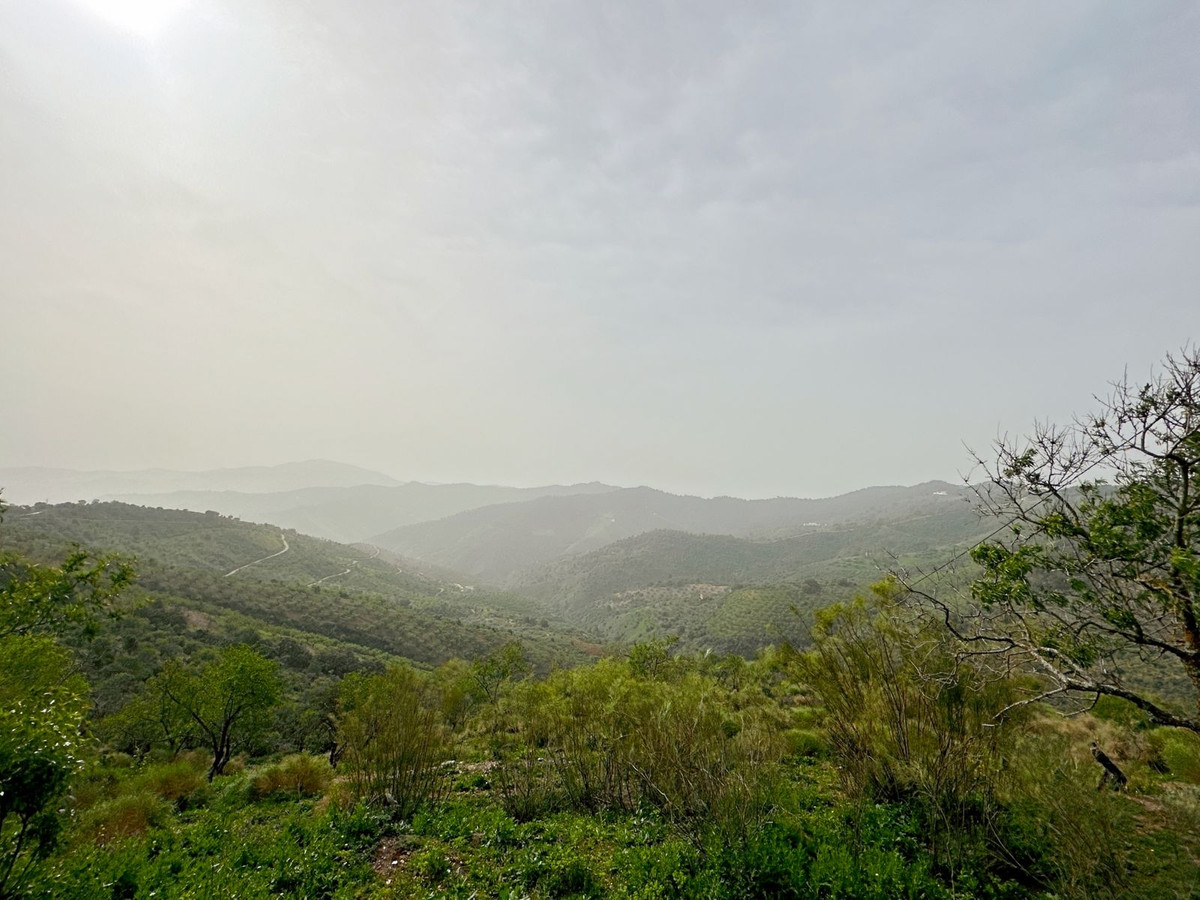 Se vende Finca - Cortijo de 8 dormitorios en Málaga Ciudad, Málaga, España