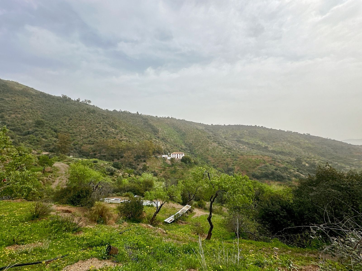 Se vende Finca - Cortijo de 8 dormitorios en Málaga Ciudad, Málaga, España