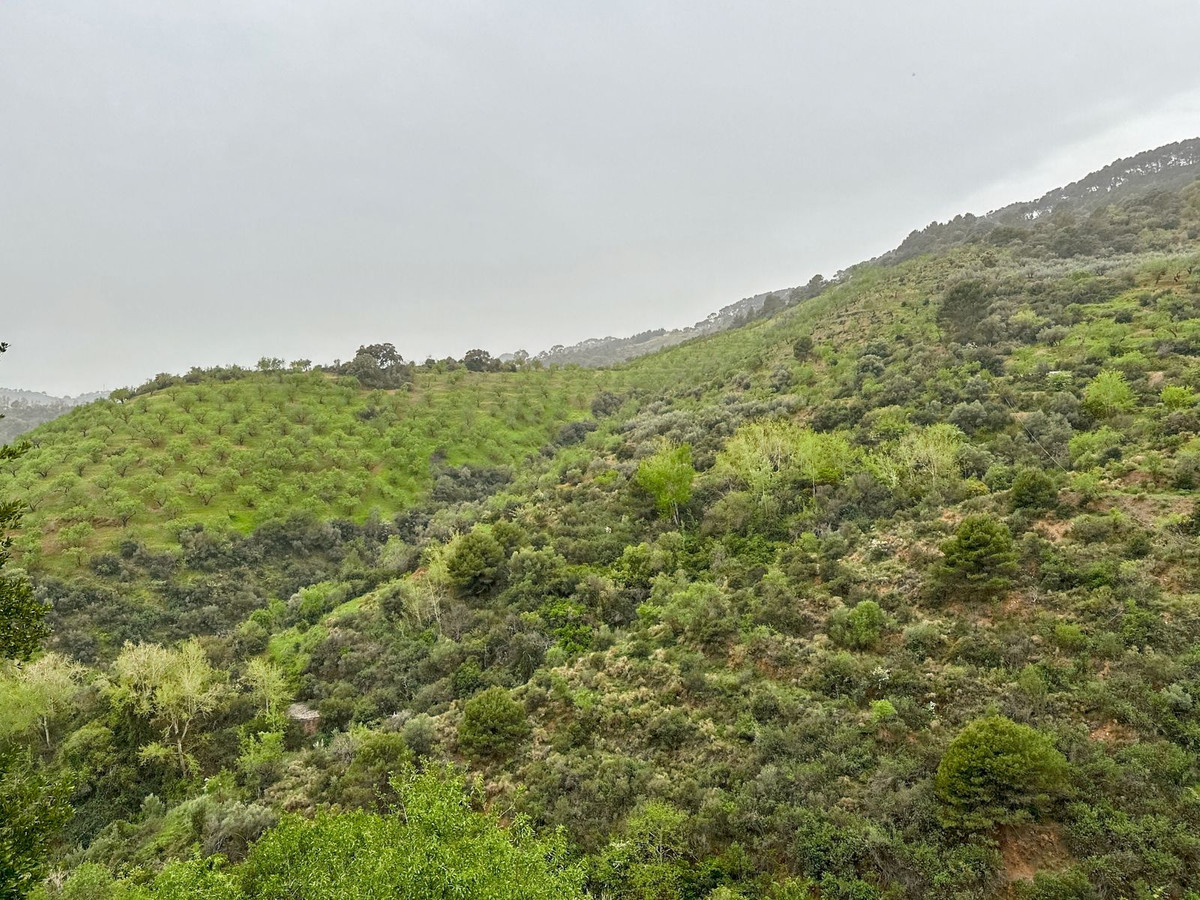 Se vende Finca - Cortijo de 8 dormitorios en Málaga Ciudad, Málaga, España