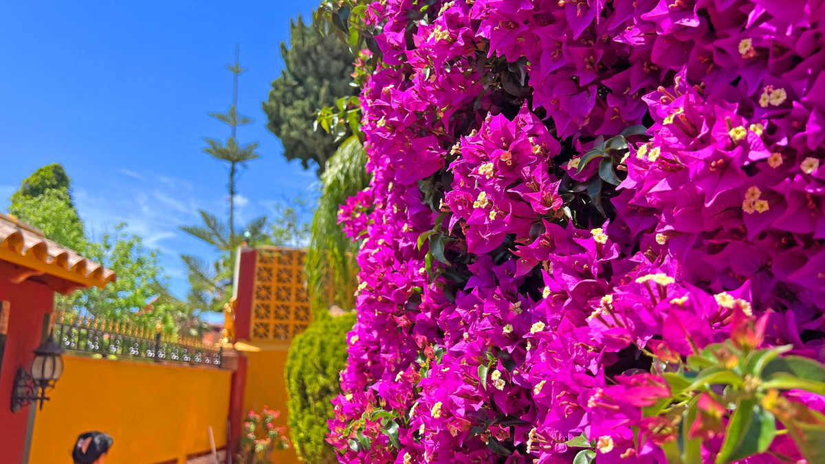 6 Bed Townhouse for sale in Reserva De Marbella Costa Del Sol, Málaga, Spain