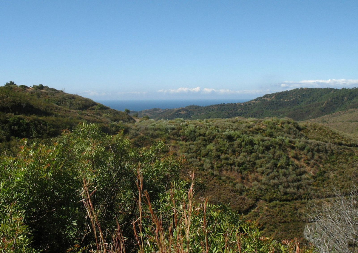 Se vende Terreno Urbano  en Costa Del Sol, Málaga, España