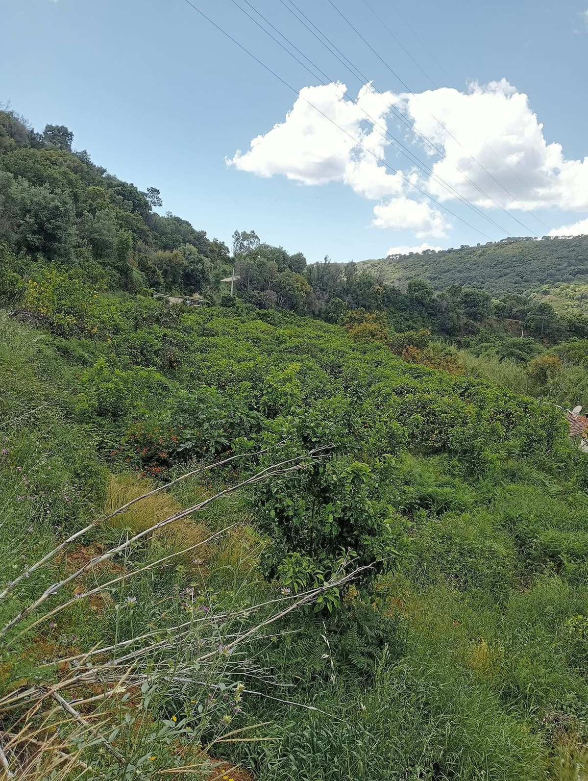 Plots for sale in Estepona Costa Del Sol, Málaga, Spain
