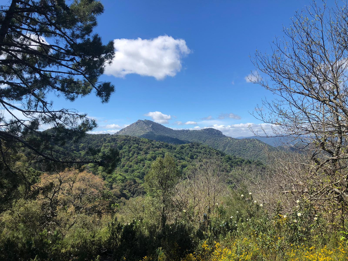 Se vende Terreno Rustico  en Costa Del Sol, Málaga, España