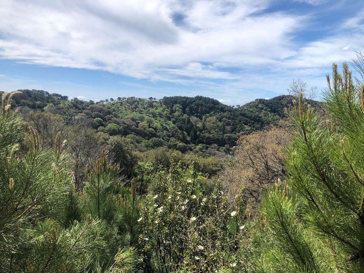 Se vende Terreno Rustico  en Costa Del Sol, Málaga, España