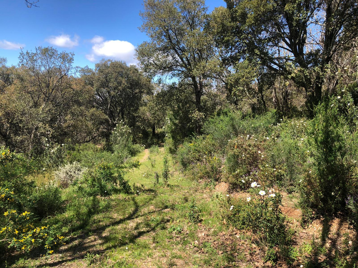 Se vende Terreno Rustico  en Costa Del Sol, Málaga, España