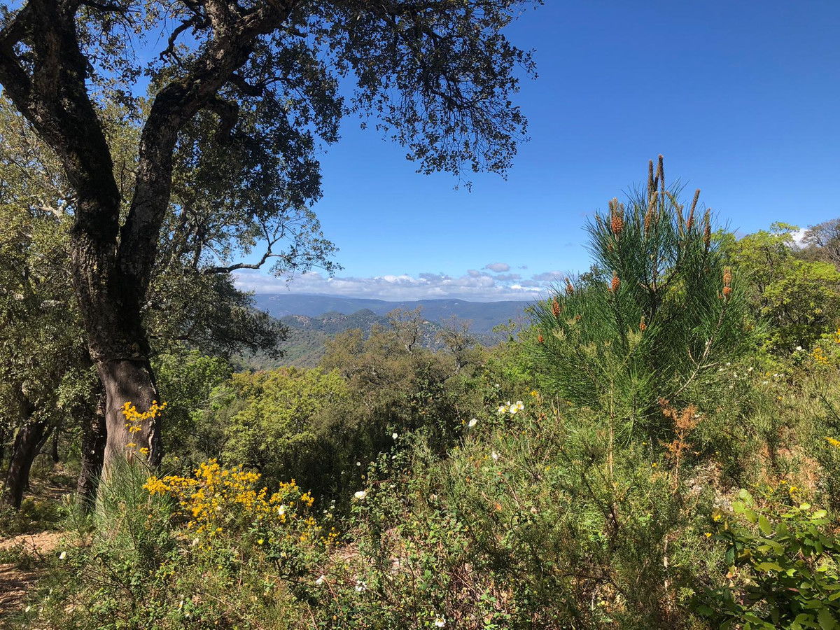 Se vende Terreno Rustico  en Costa Del Sol, Málaga, España