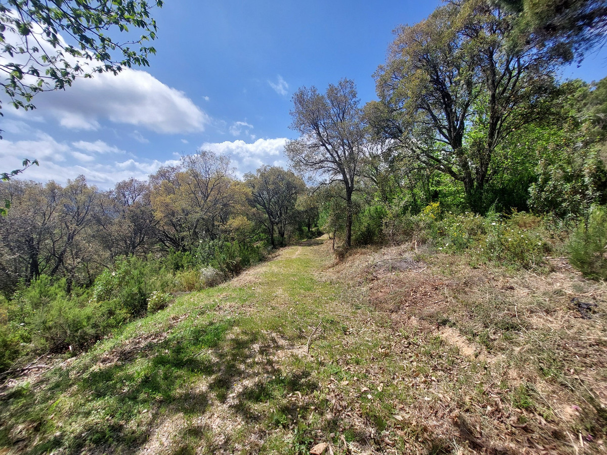 Se vende Terreno Rustico  en Costa Del Sol, Málaga, España