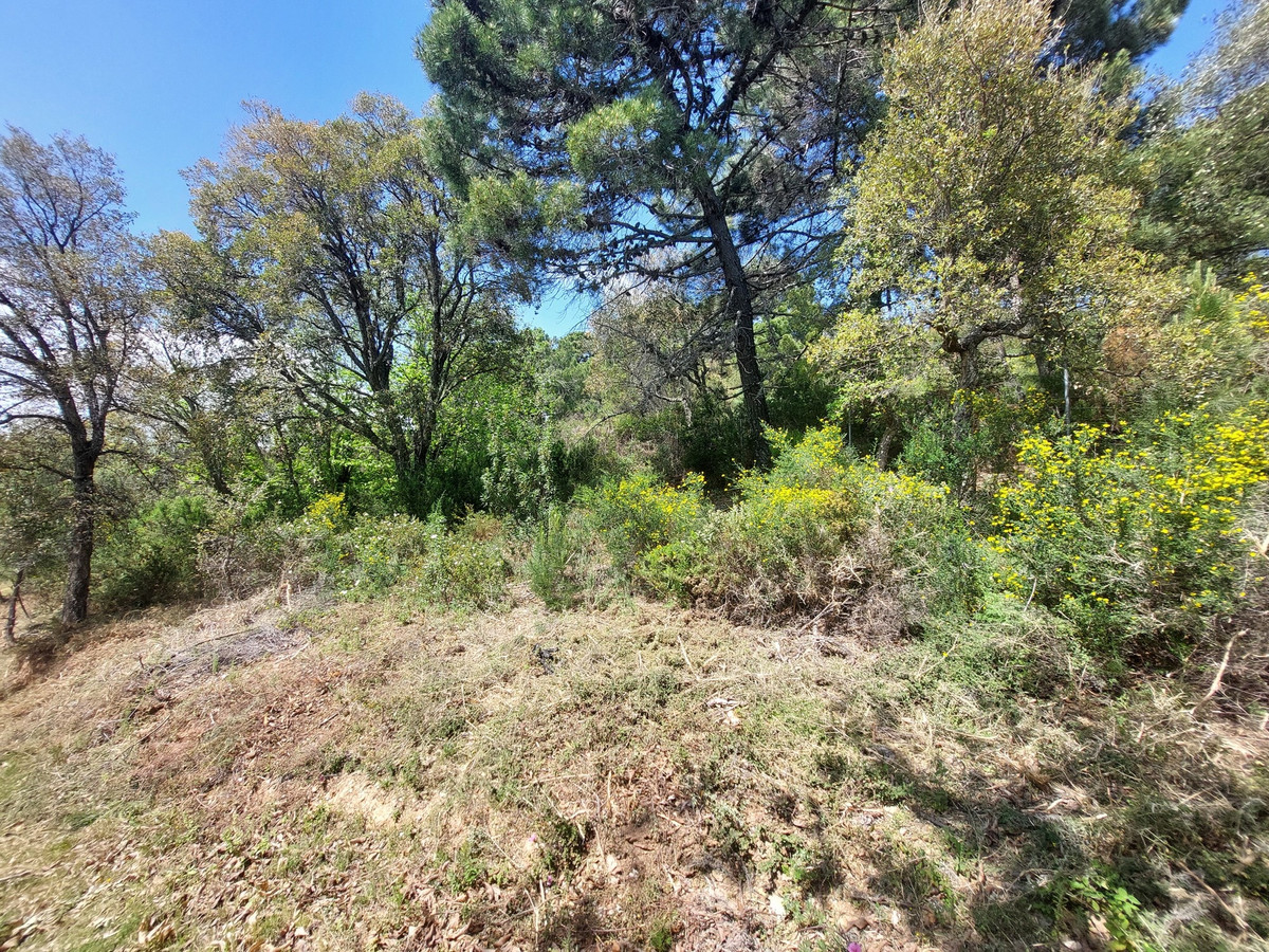 Se vende Terreno Rustico  en Costa Del Sol, Málaga, España