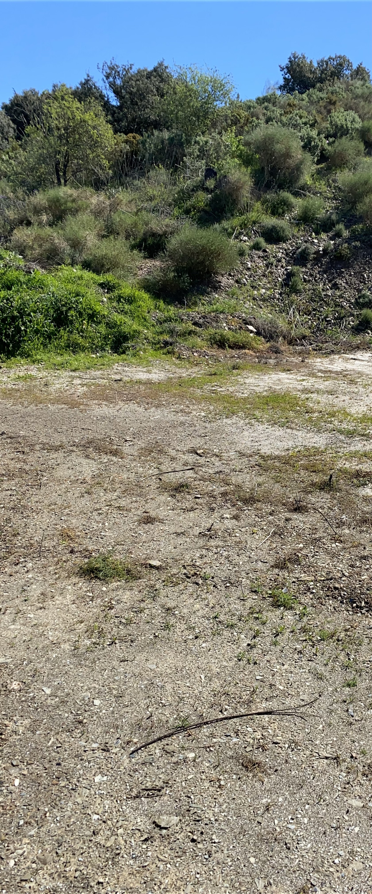 Se vende Finca - Cortijo de 1 dormitorios en Costa Del Sol, Málaga, España