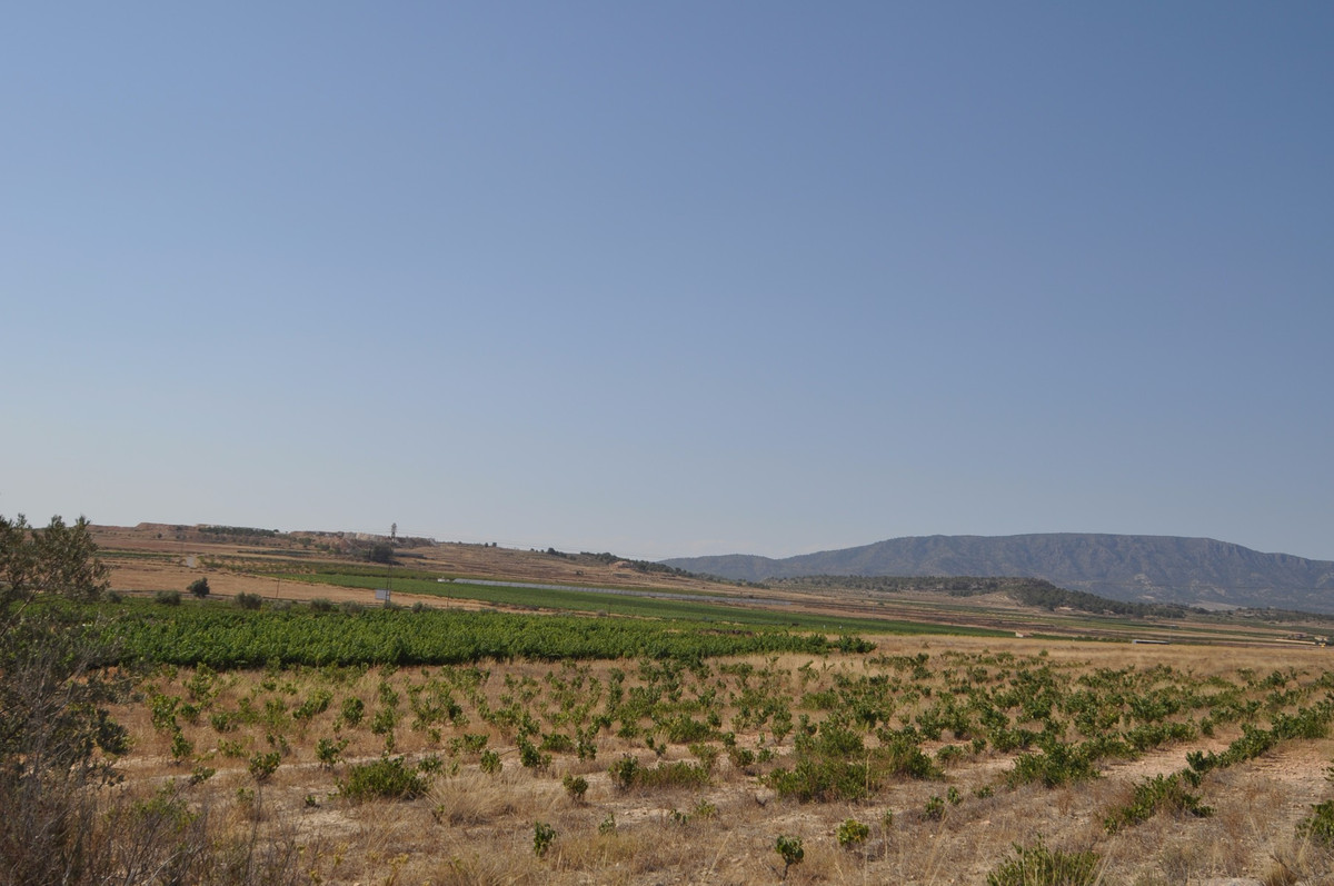 Se vende Terreno Rustico  en Costa Blanca, Alicante, España