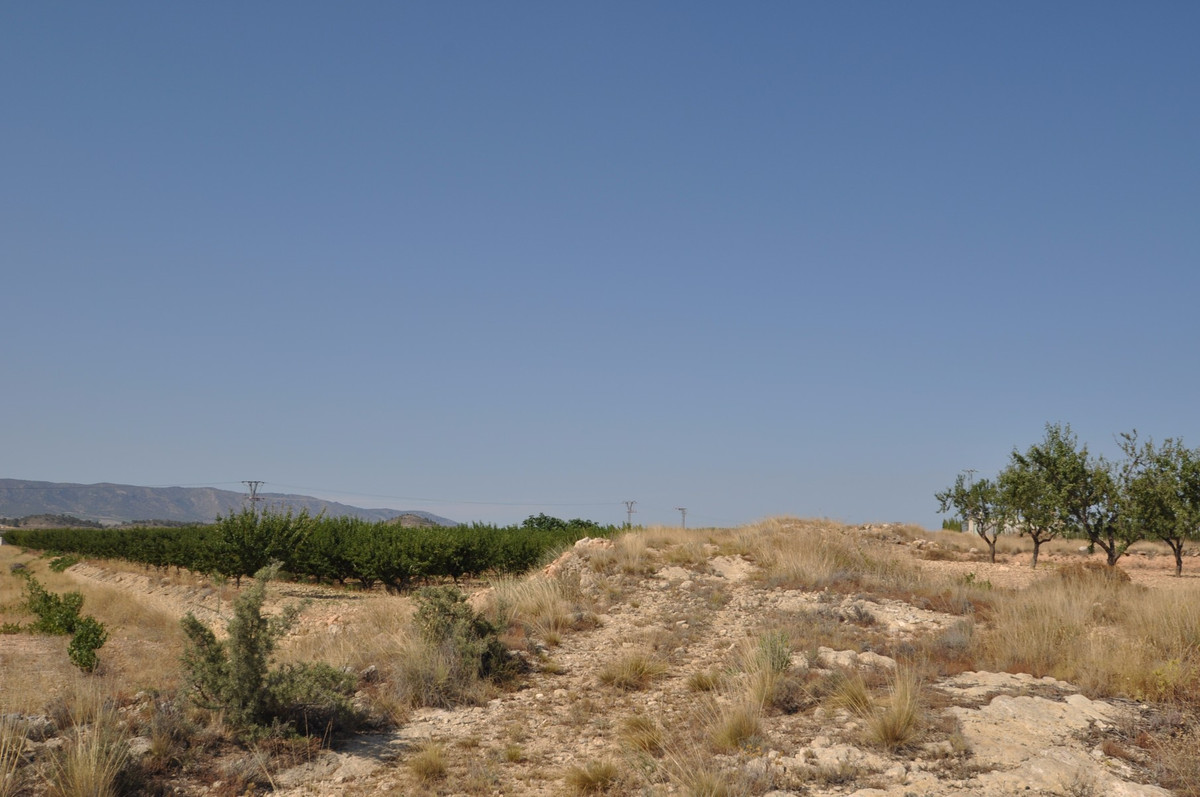 Se vende Terreno Rustico  en Costa Blanca, Alicante, España