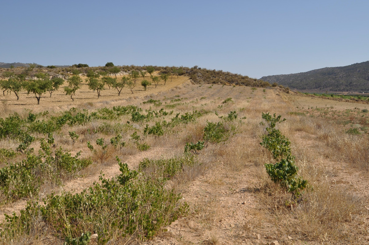 Se vende Terreno Rustico  en Costa Blanca, Alicante, España