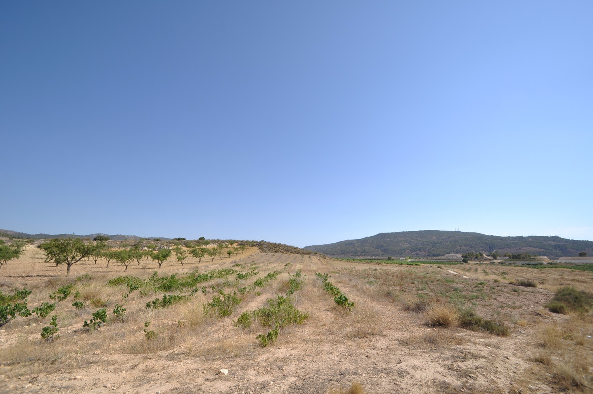 Se vende Terreno Rustico  en Costa Blanca, Alicante, España