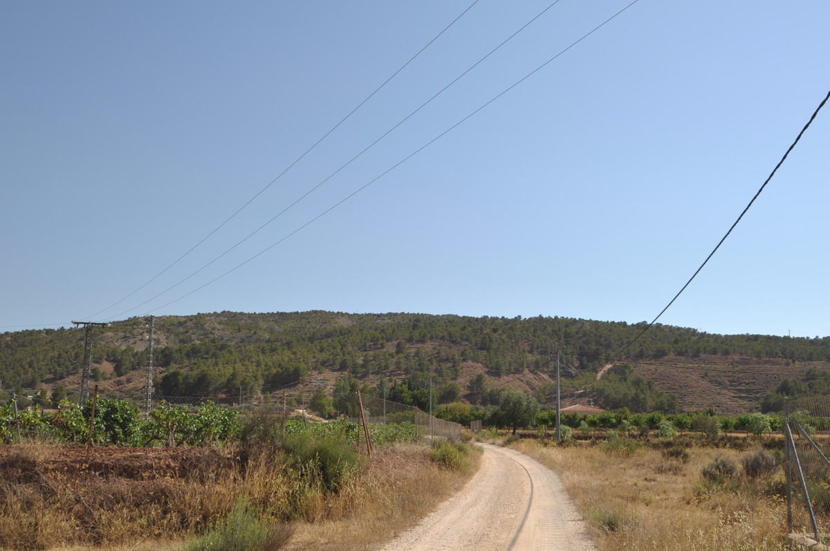 Se vende Terreno Rustico  en Costa Blanca, Alicante, España