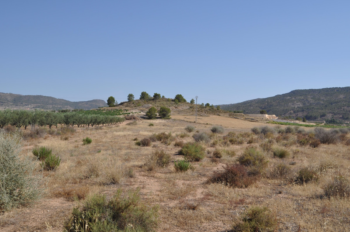 Se vende Terreno Rustico  en Costa Blanca, Alicante, España